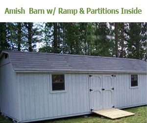 amish-barn-w-ramp-partitions-inside