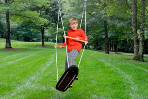 Skateboard Swing and Brackets